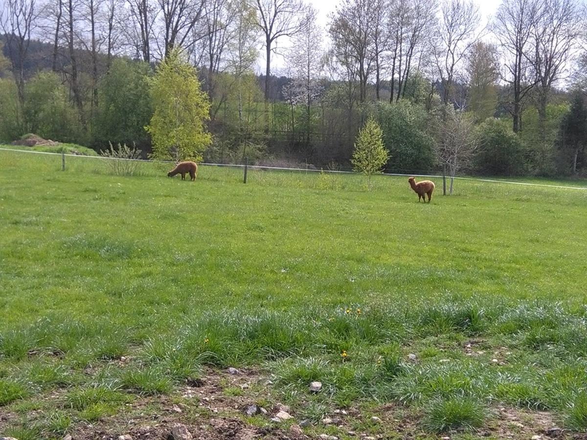 Familie Meimer Hofing Exterior foto