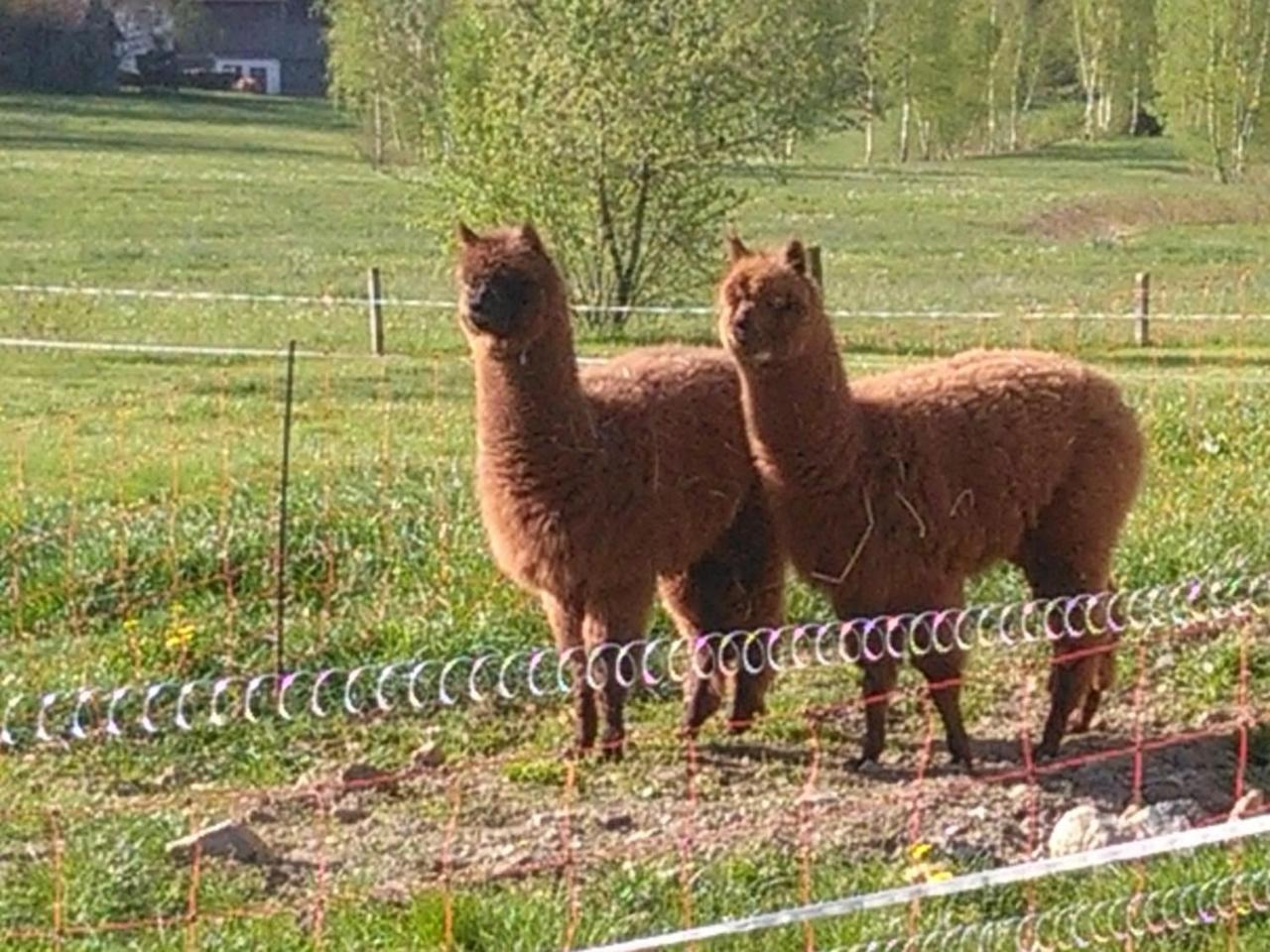 Familie Meimer Hofing Exterior foto
